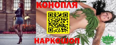 стаф Новодвинск